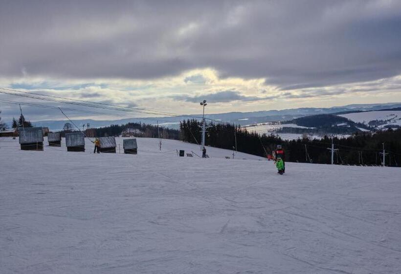 חדר פנטהאוז, Penzion Vyhlídka Janovičky