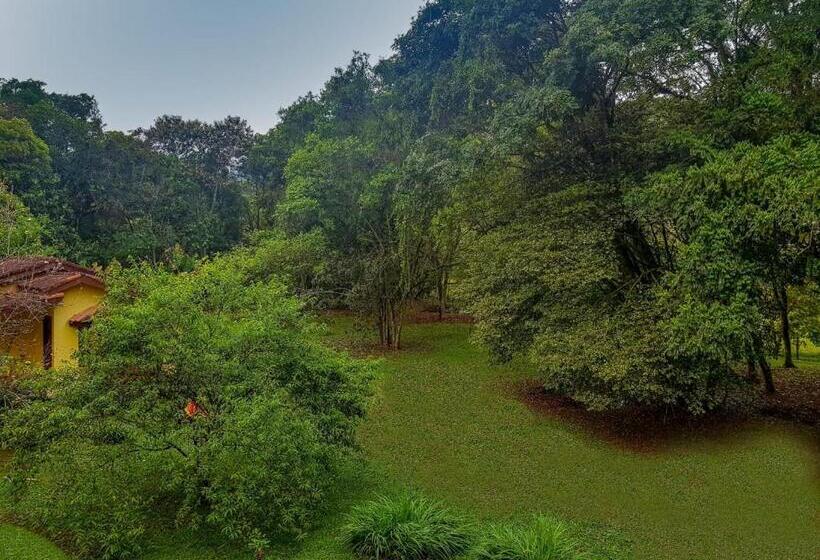 豪华套房, Pousada Chalé Amoreira