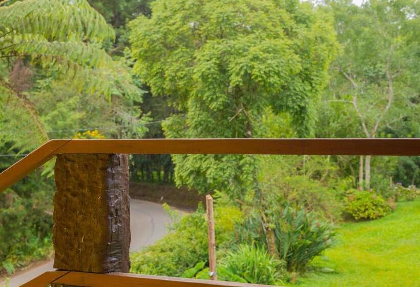 豪华套房, Pousada Chalé Amoreira