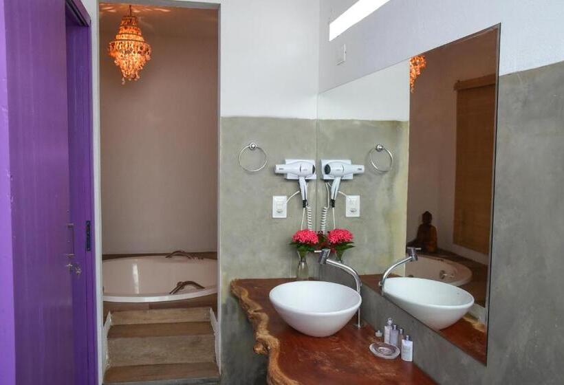 带大床的豪华间, Pousada Paraiso Carneiros