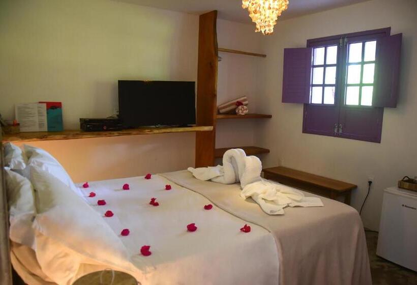 带大床的豪华间, Pousada Paraiso Carneiros