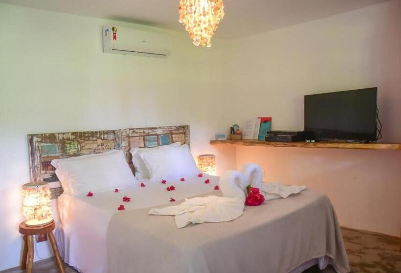 带大床的豪华间, Pousada Paraiso Carneiros