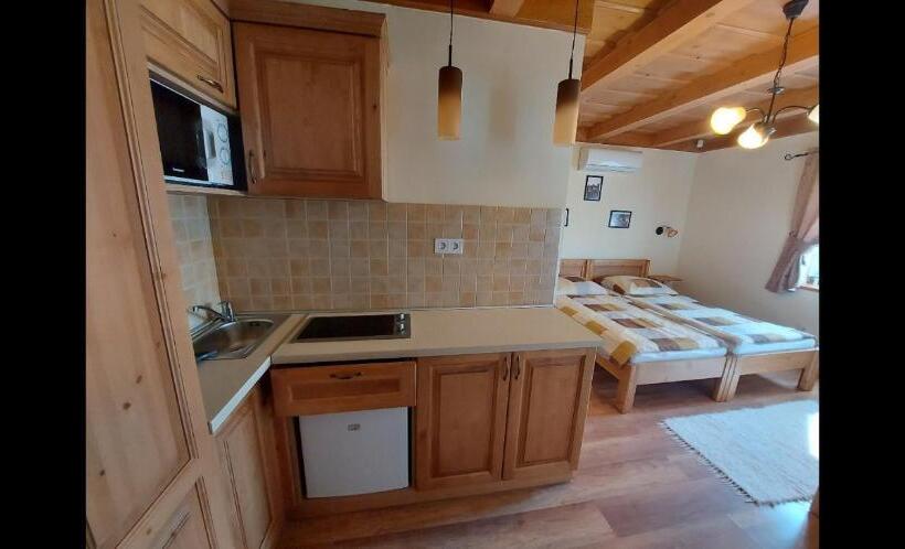 침실 1개 디럭스 아파트, Tóth Vendégház és Apartmanház újfehértó