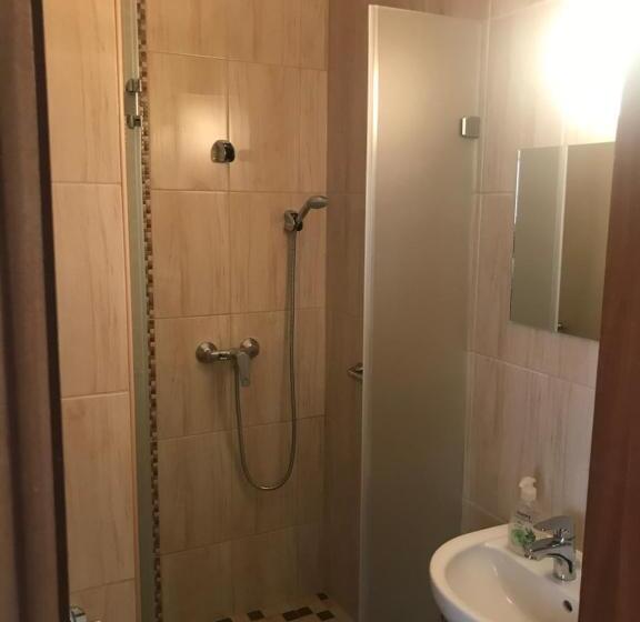 חדר סטנדרט יחיד, Taverna Panzió