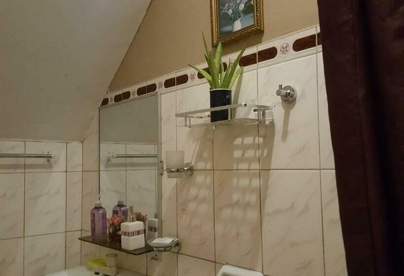 سوئیت با بالکن, Center Parkway Pension House