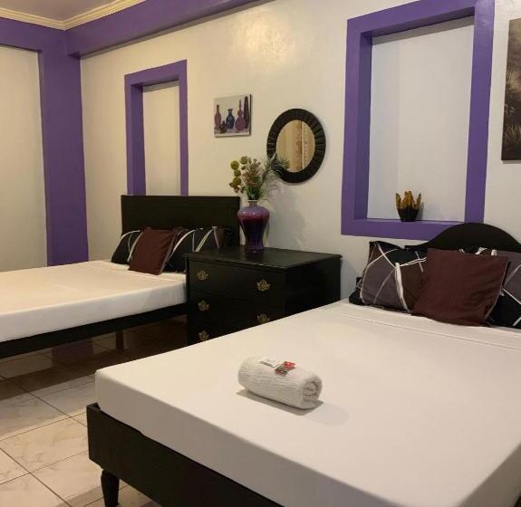 اتاق لوکس چهار تخته, Center Parkway Pension House