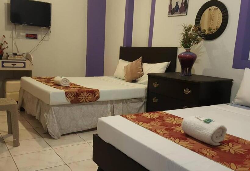 اتاق لوکس چهار تخته, Center Parkway Pension House