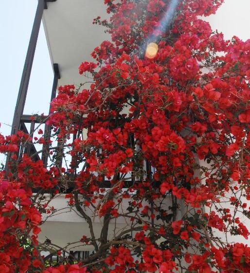 سوییت جونیور لوکس, Anofli Suites