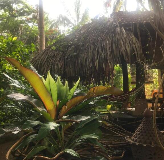 小室, Surf N Sun Arugam Bay