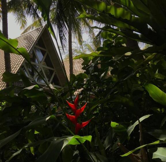 豪华小屋, Surf N Sun Arugam Bay