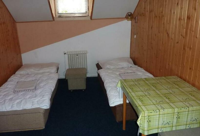 חדר סטנדרט חדר אמבטיה משותף, Penzion Tendr