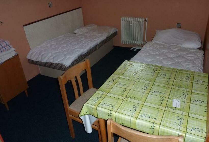 חדר סטנדרט חדר אמבטיה משותף, Penzion Tendr