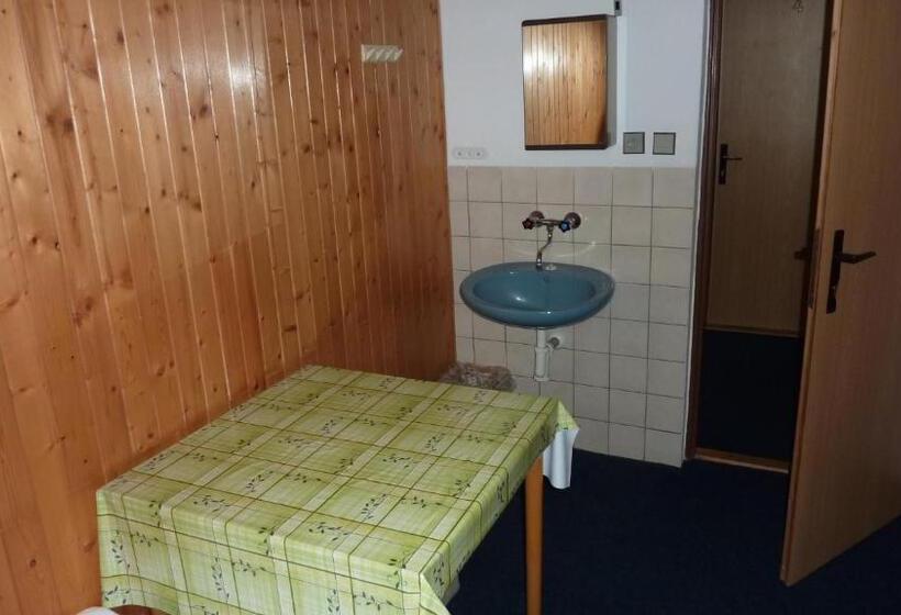 חדר סטנדרטי לארבעה עם חדר אמבטיה משותף, Penzion Tendr