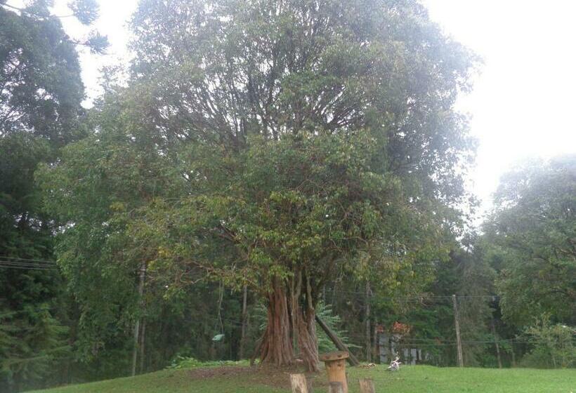 一居室豪华别墅, Pousada Pizzaria Do Vale