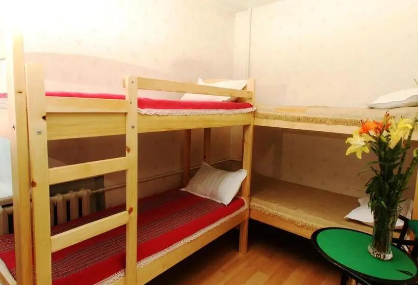 تختخواب در اتاق مشترک, Top Tour & Guesthouse Mongolia