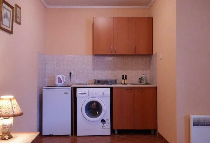 استودیوی استاندارد, Villa Budvanka Guesthouse