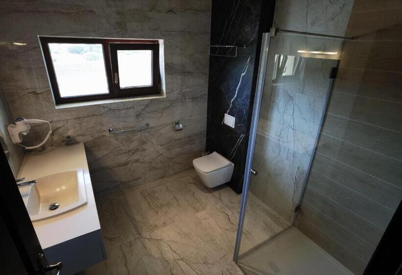 수피리어 룸, Pensiunea Carmena