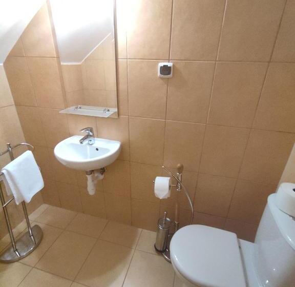 带1个卧室的豪华公寓, Pensjonat Witoldówka