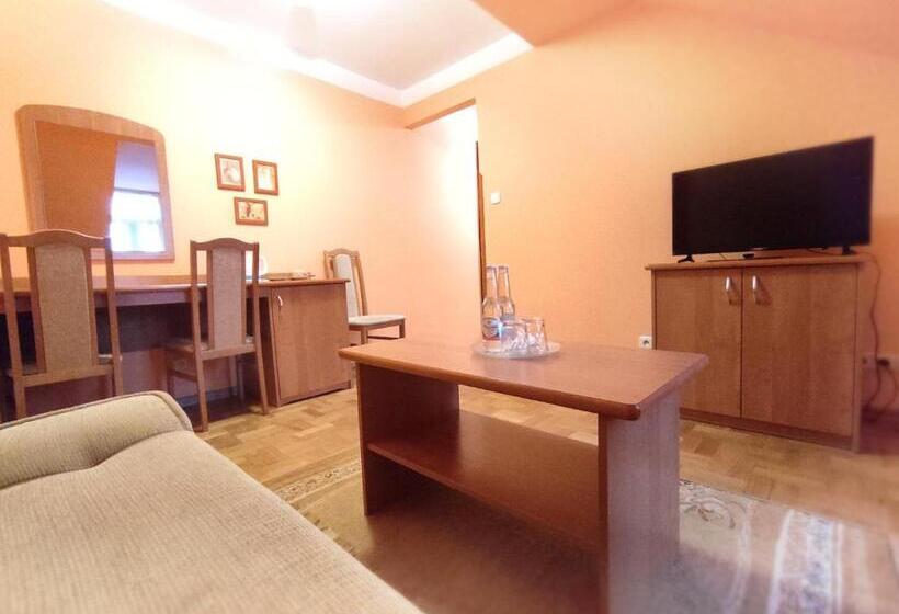 带1个卧室的豪华公寓, Pensjonat Witoldówka