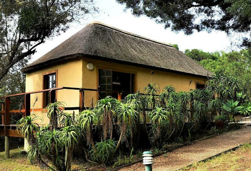 اتاق استاندارد, Fairy Knowe Backpackers Lodge