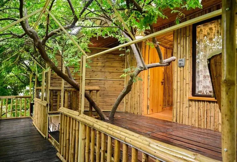Sviitti Vuoristonäkymä, Green Heaven Resort