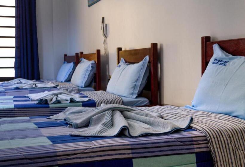 Четырехместный Номер Стандарт, Paradise Palace