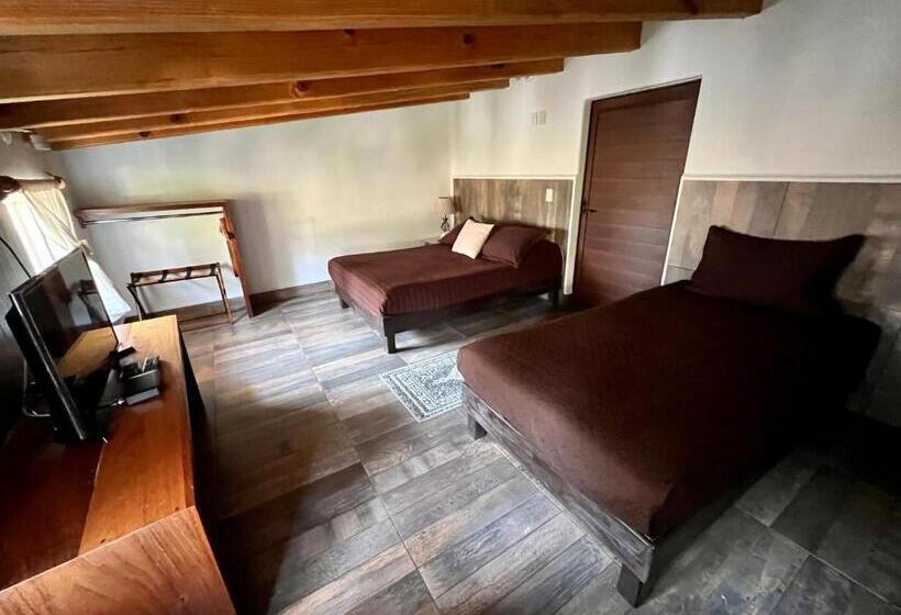 ２ベッドルームアパートメント, San Sebastian