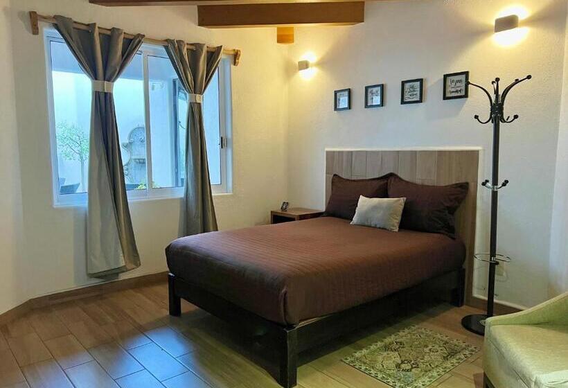 غرفة قياسية, San Sebastian