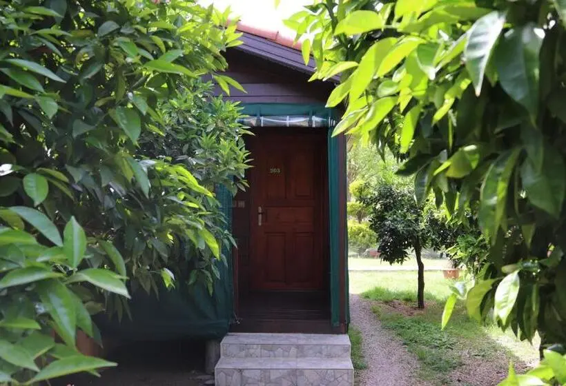 Bungalow Standard, Plaj