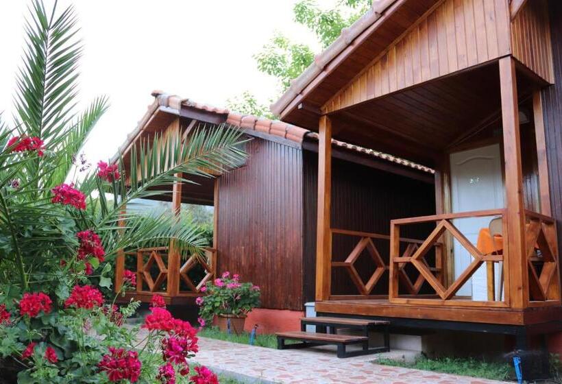 بنجلو قياسى, Plaj