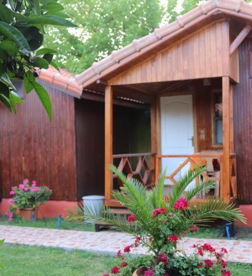 بنجلو قياسى, Plaj