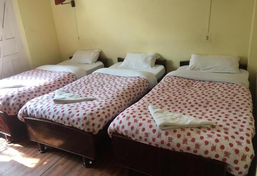 Economy Triple Room, New United