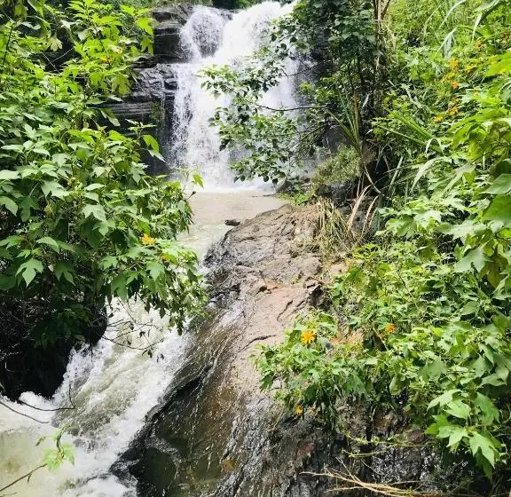 اتاق خانوادگی, River Splendour Home Stay