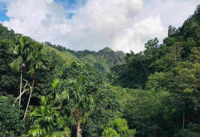 ファミリールーム, River Splendour Home Stay