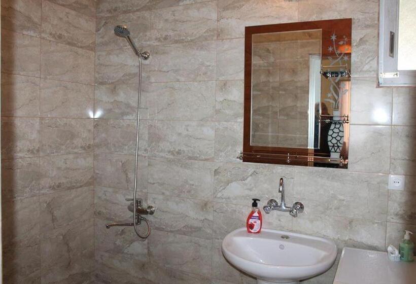 اتاق استاندارد با سرویس بهداشتی مشترک, Guest House Lviv грузия