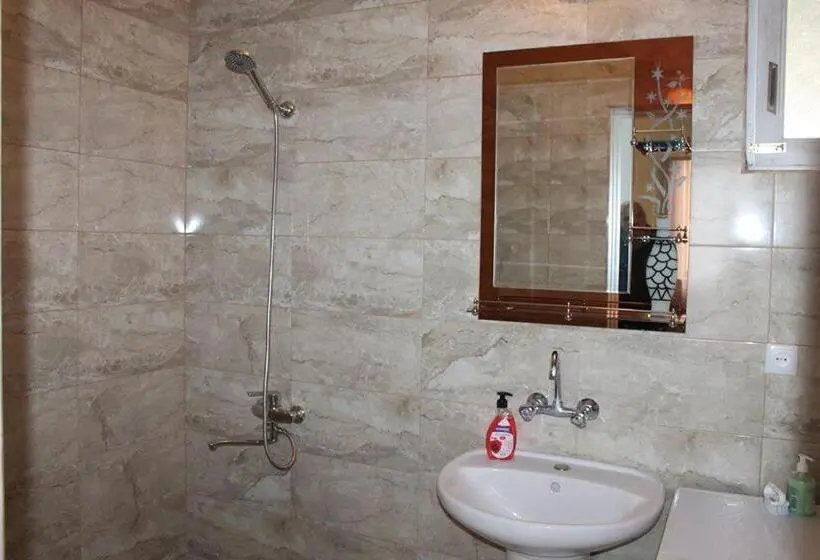 اتاق استاندارد با سرویس بهداشتی مشترک, Guest House Lviv грузия