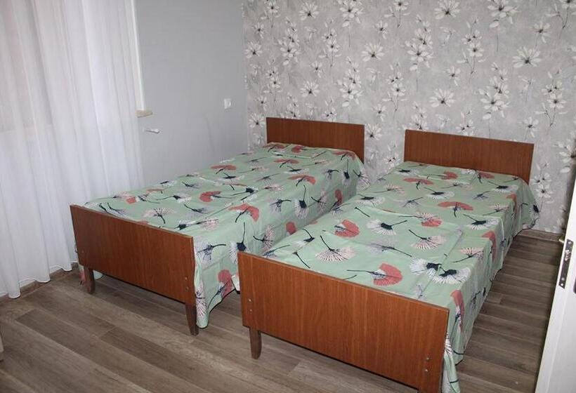 اتاق استاندارد با سرویس بهداشتی مشترک, Guest House Lviv грузия