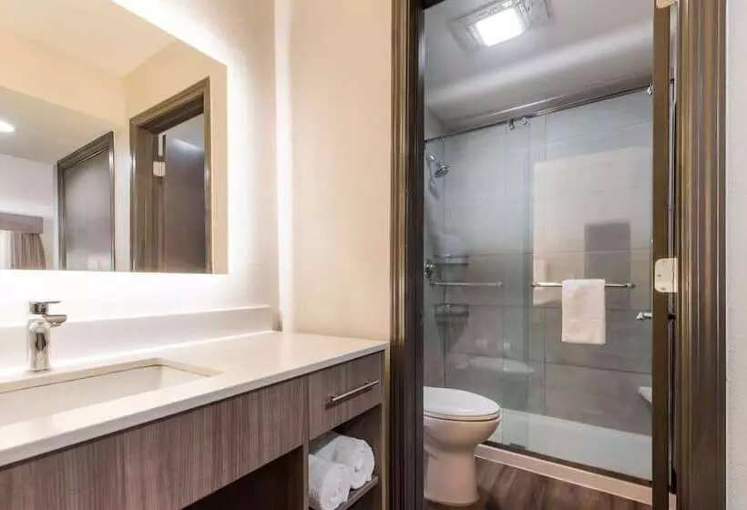 スイート, Best Western Fishkill Inn & Suites