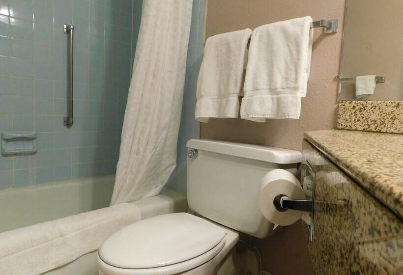 デラックスルーム, Apm Inn & Suites