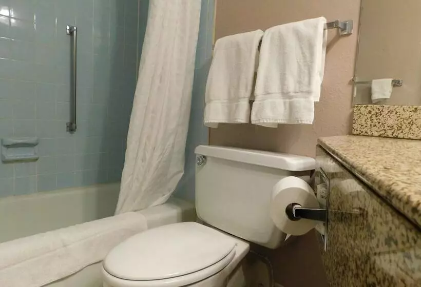 デラックスルーム, Apm Inn & Suites