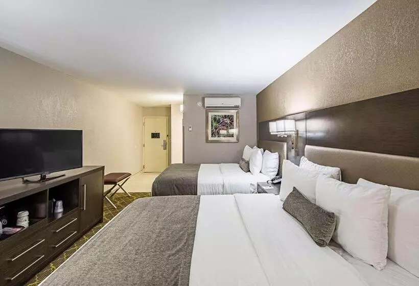 スタンダードルーム, Best Western Plus Clemson Hotel & Conference Center