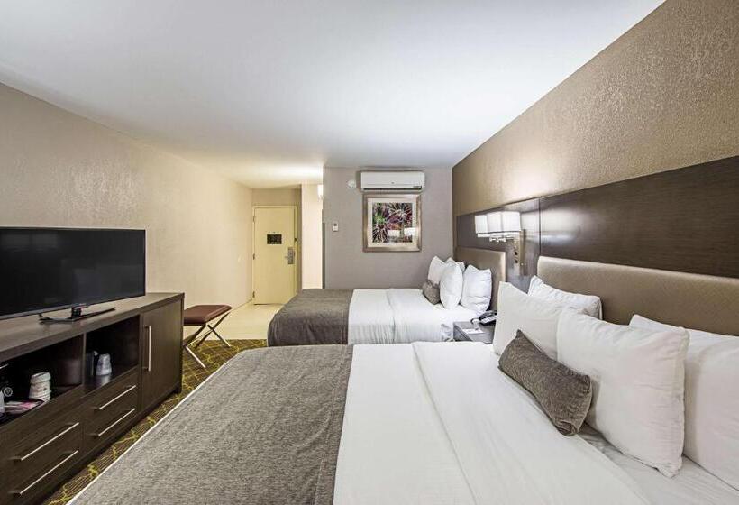 غرفة قياسية, Best Western Plus Clemson Hotel & Conference Center