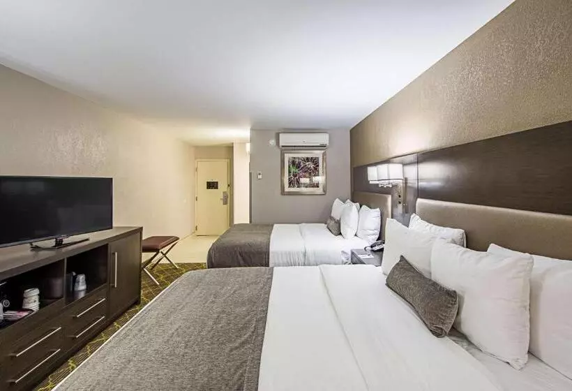 スタンダードルーム, Best Western Plus Clemson Hotel & Conference Center