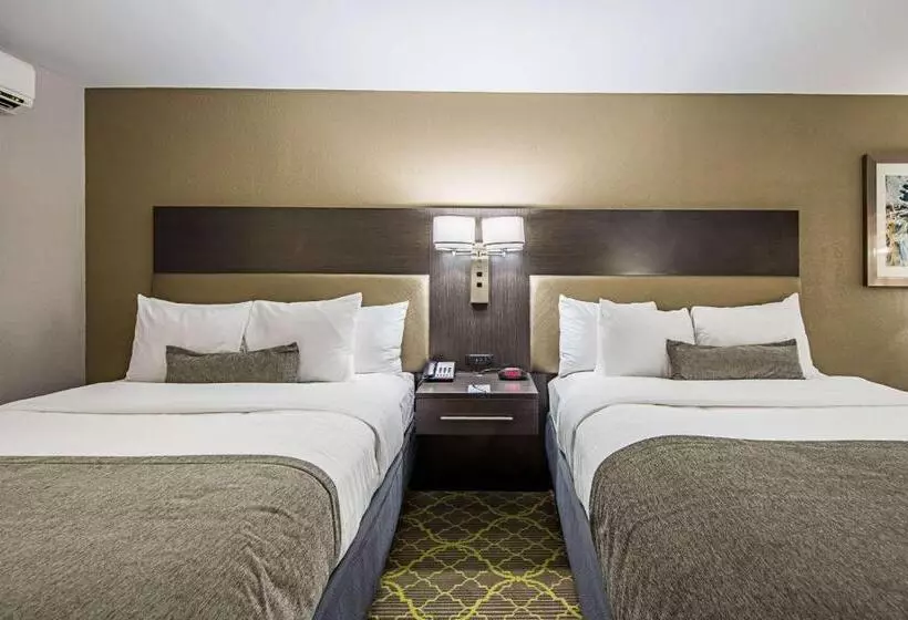スタンダードルーム, Best Western Plus Clemson Hotel & Conference Center