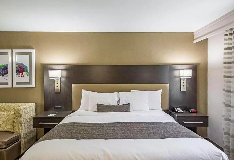 キングサイズベッドのスタンダードルーム, Best Western Plus Clemson Hotel & Conference Center