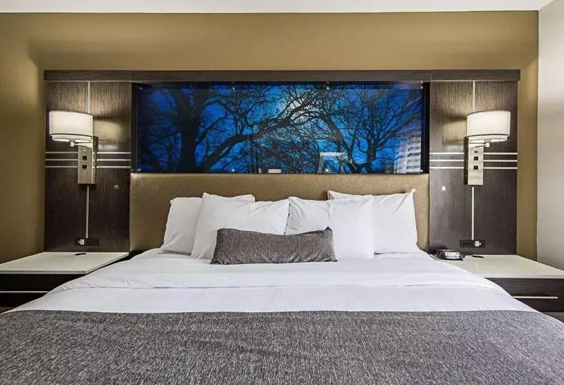 キングサイズベッドのスタンダードルーム, Best Western Plus Clemson Hotel & Conference Center