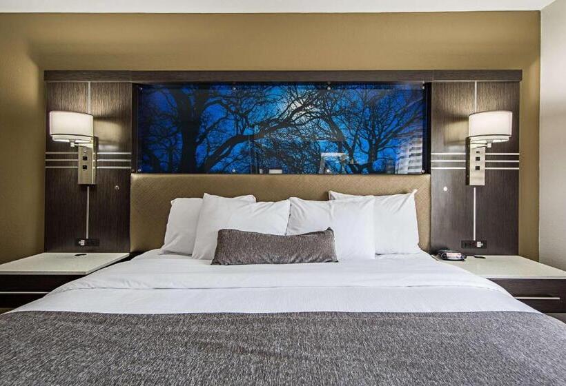 キングサイズベッドのスタンダードルーム, Best Western Plus Clemson Hotel & Conference Center