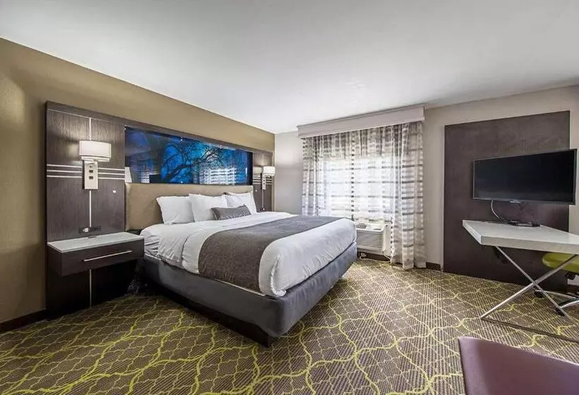身障者適用キングサイズベッドルーム, Best Western Plus Clemson Hotel & Conference Center