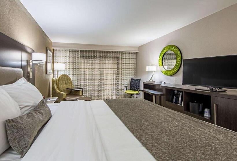 身障者適用キングサイズベッドルーム, Best Western Plus Clemson Hotel & Conference Center