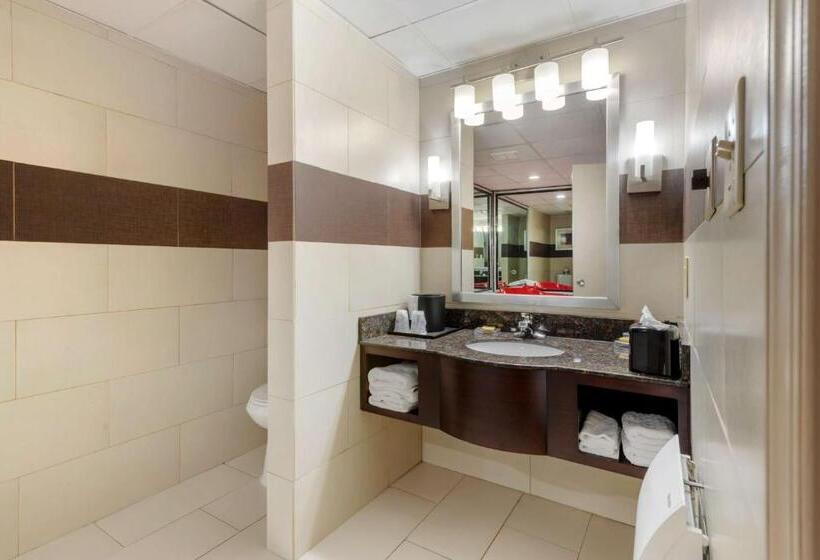 带2个双人床的标准工作室, Best Western Plus Poconos